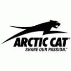 set piston original Arctic Cat 650