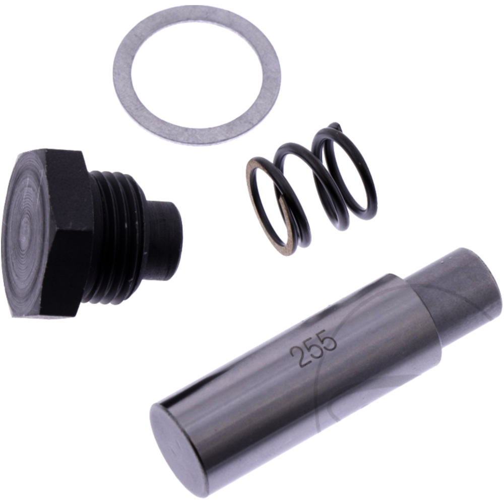 intinzator lant distributie original BMW F 650 F 700 F 800
