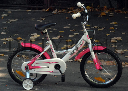 bicicleta copii Foxy - Apasa pe imagine pentru inchidere