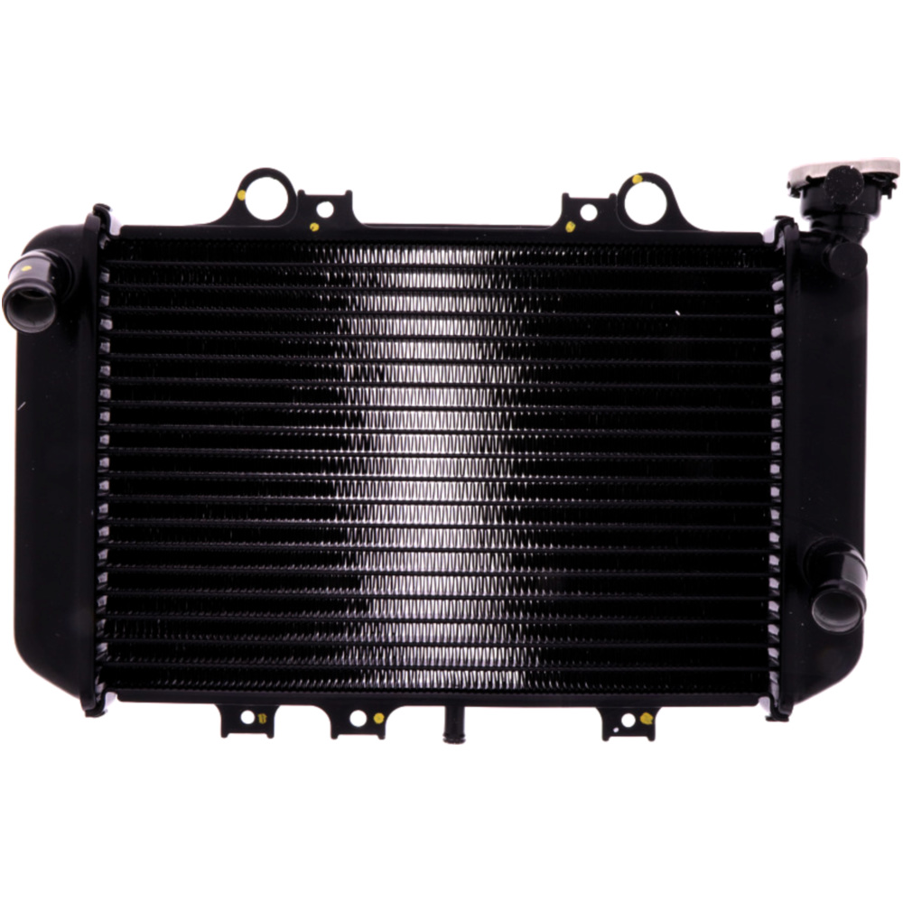 radiator BMW C 400 G 310